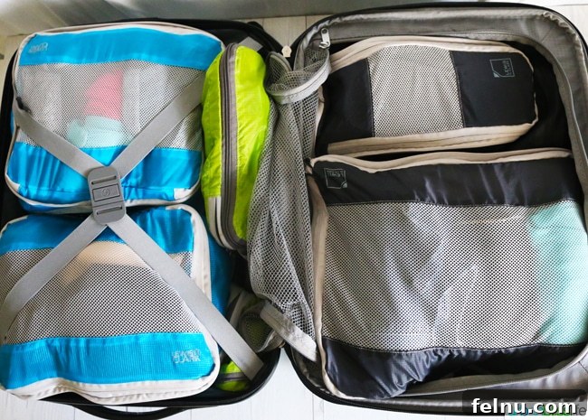 A Travel Blogger's Top 5 Travel Essentials of 2017 5 Different Sized Packing Cubes