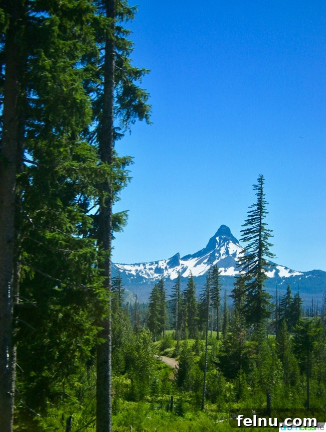 Aşağıdaki potansiyel özgün başlık: Family Getaway: Top 5 Tips for Booking the Perfect Vacation Rental 3 Scenic view near a vacation rental in Sunriver, Oregon