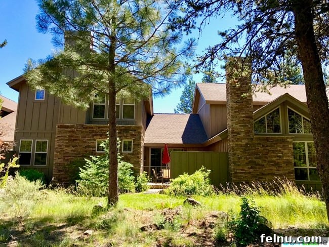 Aşağıdaki potansiyel özgün başlık: Family Getaway: Top 5 Tips for Booking the Perfect Vacation Rental 5 Backyard of a vacation rental property
