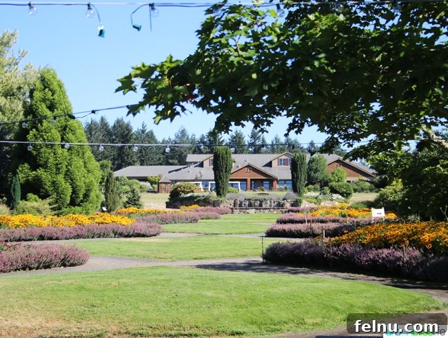 Oregon Garden Resort: A Tranquil Escape 4 Oregon Garden Resort Hotel to Garden View