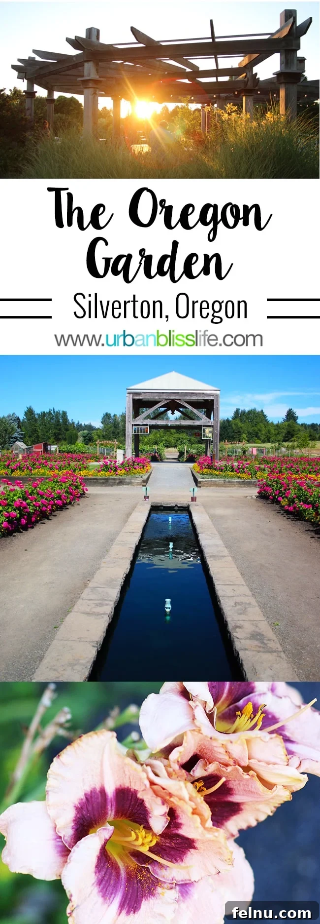 Silverton's Botanical Gem: The Oregon Garden 2 Vibrant floral display at The Oregon Garden, a top travel destination in Silverton, Oregon.