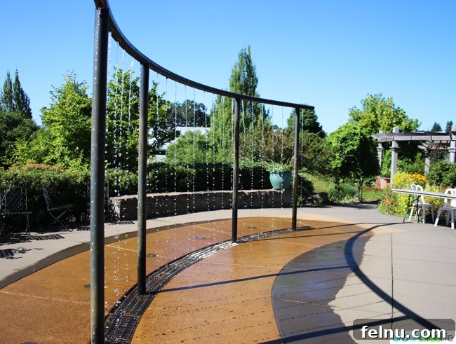 Silverton's Botanical Gem: The Oregon Garden 22 A refreshing rain shower creating a serene moment in The Oregon Garden.