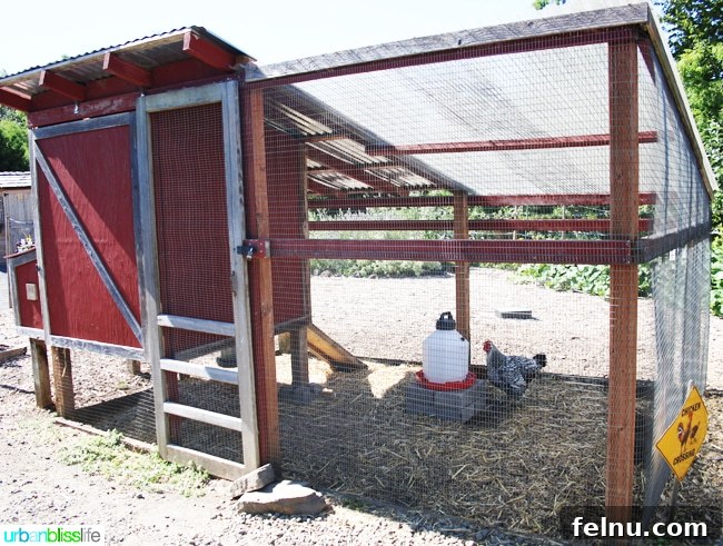 Silverton's Botanical Gem: The Oregon Garden 10 A charming chicken coop nestled within the Silverton Market Garden at The Oregon Garden.