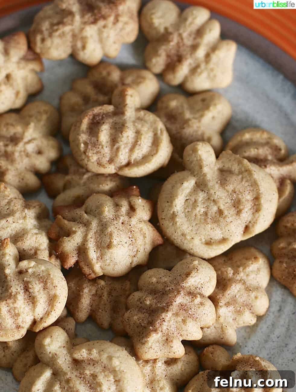 Maple Cinnamon Spritz Delights 2 Maple Cinnamon Spritz Cookies recipe on UrbanBlissLife.com