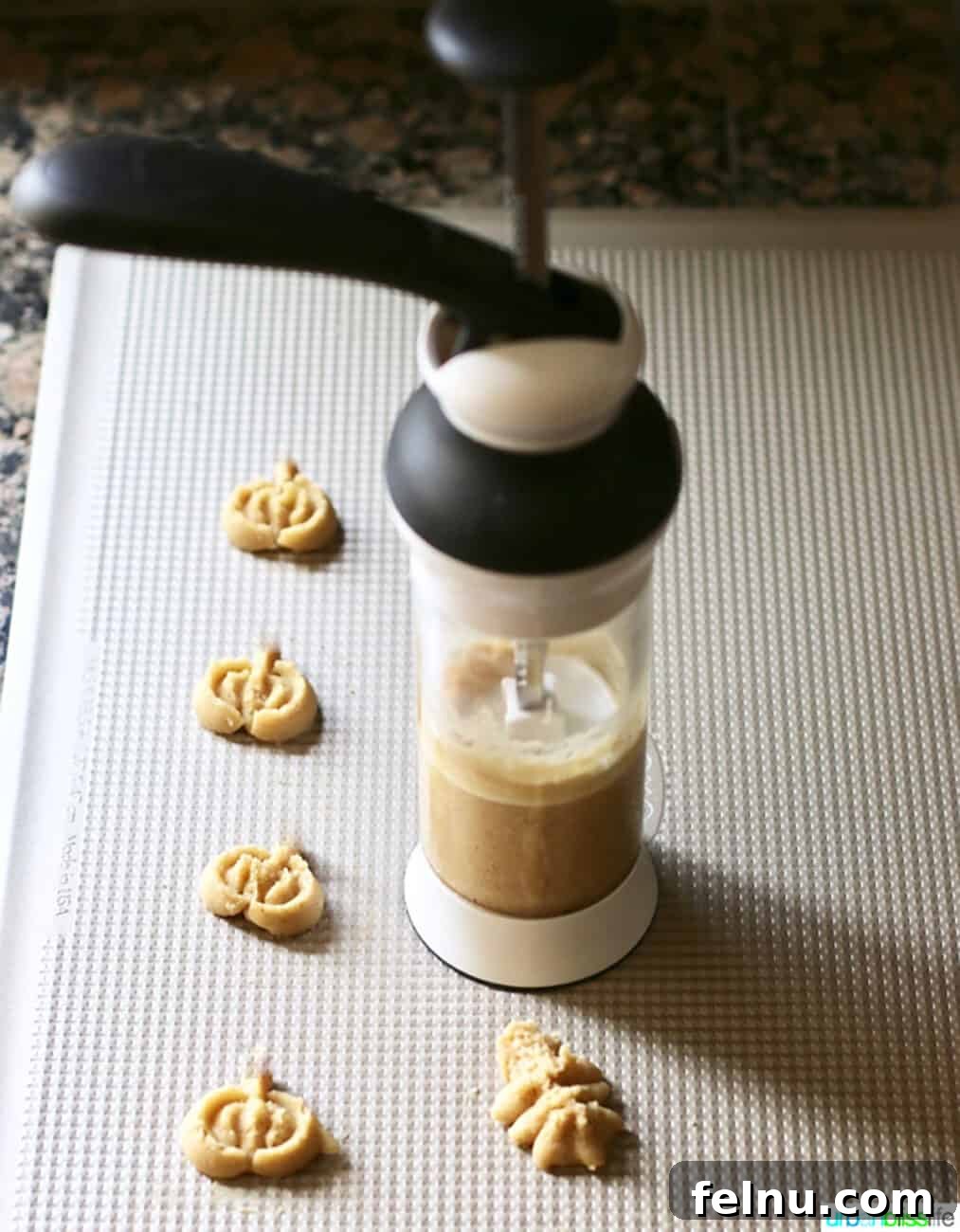 Maple Cinnamon Spritz Delights 4 OXO cookie press