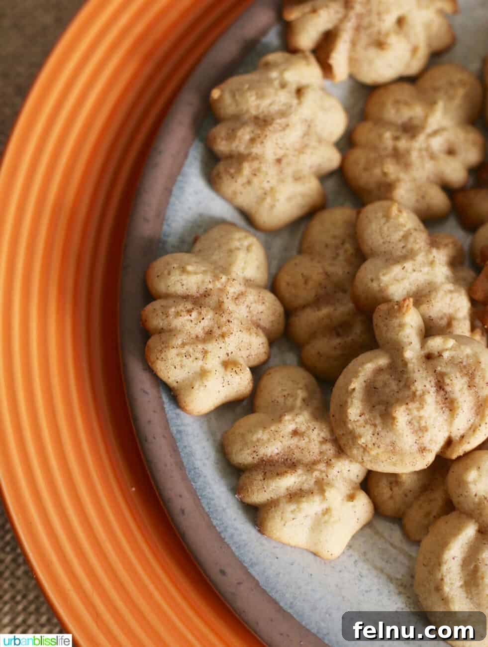 Maple Cinnamon Spritz Delights 5 Spritz Cookies with Maple Cinnamon Sugar on a plate