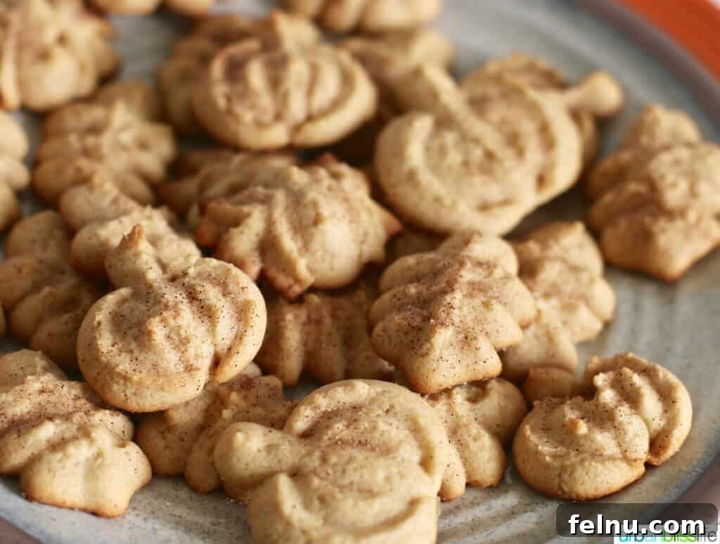 Maple Cinnamon Spritz Delights 6 Spritz Cookies with Maple Cinnamon Sugar recipe on UrbanBlissLife.com