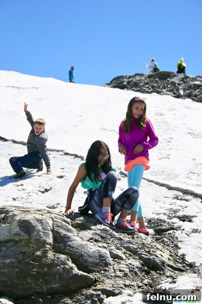 Titlis Peak: An Alpine Daydream 15 Kids Playing in the Snow on Mount Titlis