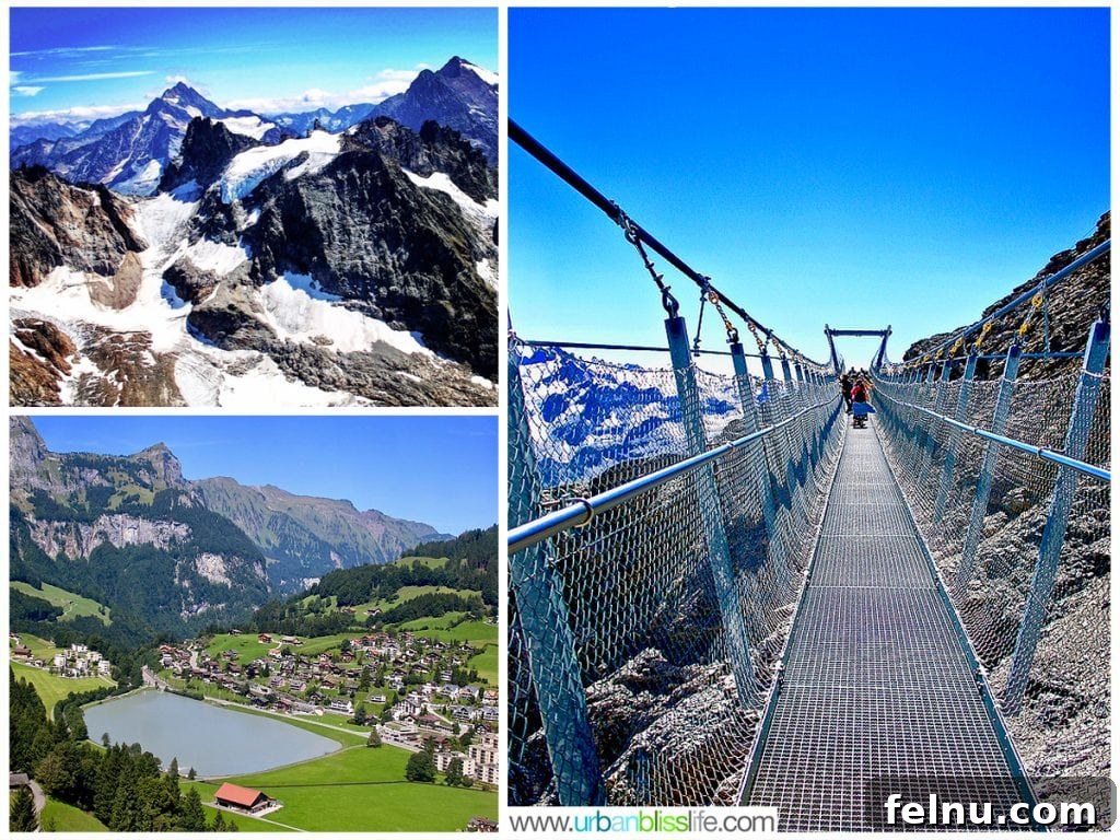 Titlis Peak: An Alpine Daydream 3 Family Fun at Mount Titlis