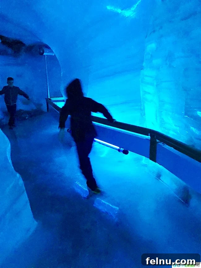 Titlis Peak: An Alpine Daydream 22 Kids Skating in the Glacier Cave