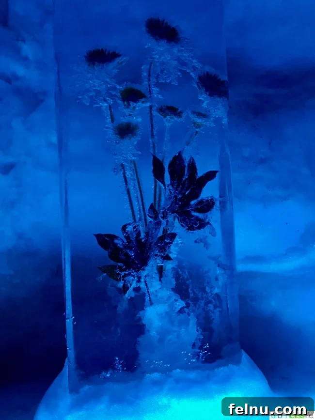 Titlis Peak: An Alpine Daydream 23 Ice Sculptures in the Glacier Cave