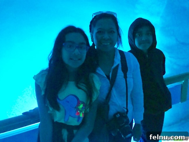 Titlis Peak: An Alpine Daydream 24 Family Photo in the Glacier Cave