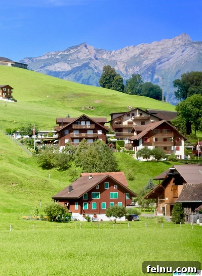 Titlis Peak: An Alpine Daydream 5 Scenic Swiss Countryside en route to Mount Titlis