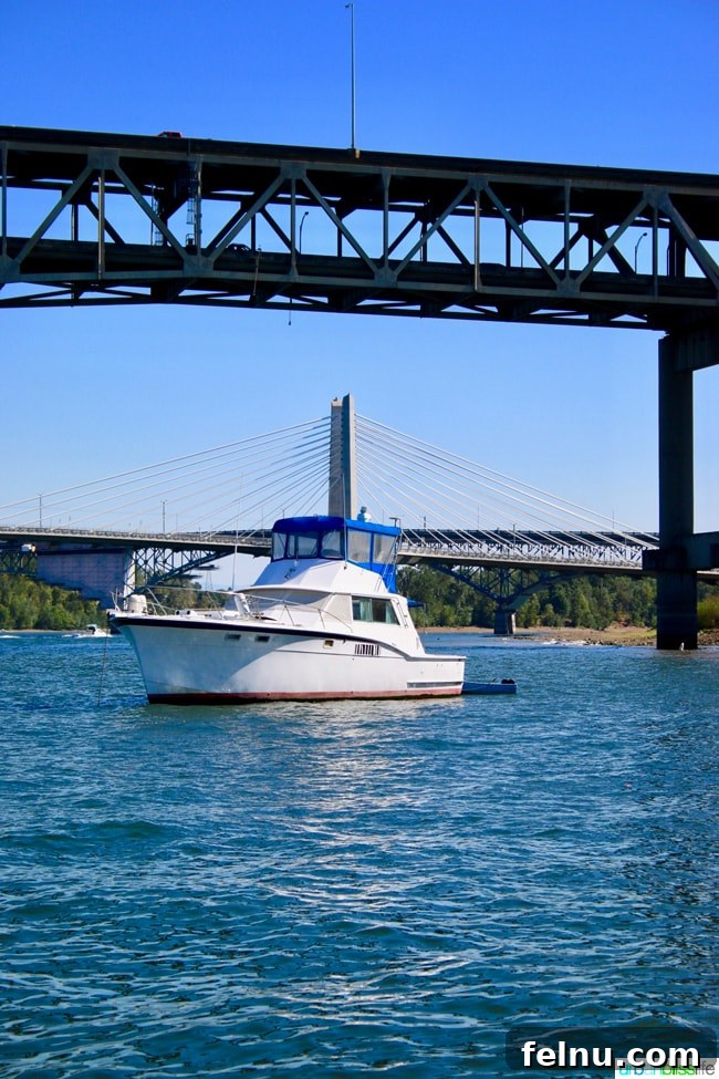 Beers, Boats, and Bridges: A Portland Brew Cruise 12 Relaxing on the BrewBarge PDX and enjoying the Portland views