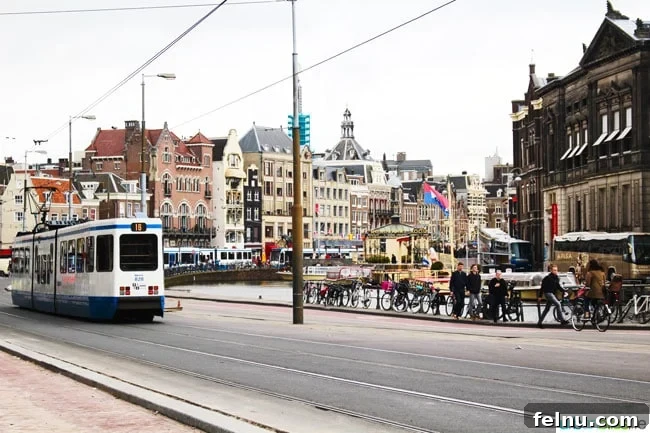 Day Tripping to Basel: A Swiss Escape 19 48 Hours in Amsterdam