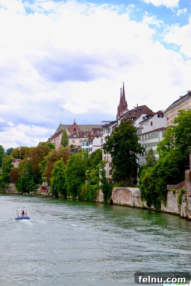 Day Tripping to Basel: A Swiss Escape 4 Rhine River Cruise in Basel, Switzerland