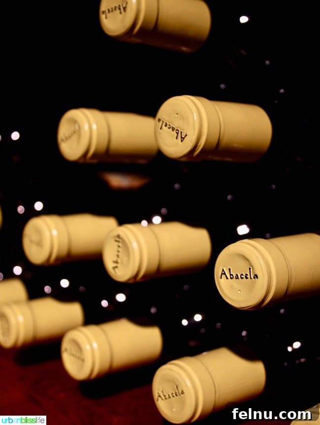 Abacela Winery: Cultivating Oregon Success Through Bold Curiosity 11 Collection of Abacela wine bottles, displaying their range of unique varietals