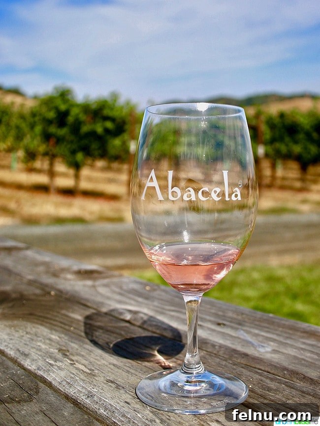 Abacela Winery: Cultivating Oregon Success Through Bold Curiosity 12 Vibrant bottle of Abacela Grenache Rosé, perfect for summer enjoyment