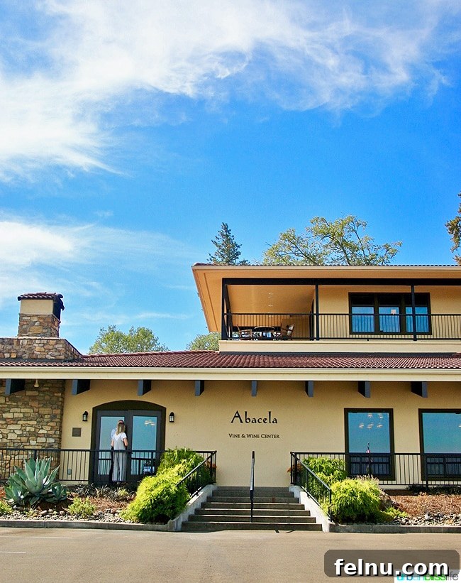 Abacela Winery: Cultivating Oregon Success Through Bold Curiosity 13 Inviting and elegant tasting room interior at Abacela Winery