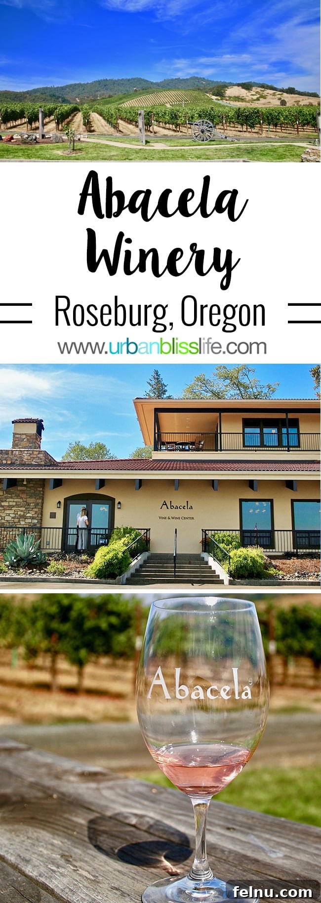 Abacela Winery: Cultivating Oregon Success Through Bold Curiosity 3 Abacela Winery estate entrance and main building in Southern Oregon