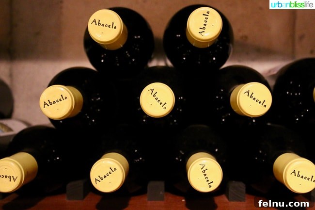 Abacela Winery: Cultivating Oregon Success Through Bold Curiosity 8 Bottles of Abacela wine aging in the cellar, showcasing their diverse portfolio