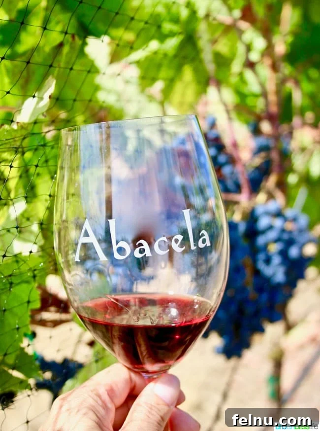 Abacela Winery: Cultivating Oregon Success Through Bold Curiosity 9 Bottle of Abacela Pinot Noir, a staple in Oregon wine production