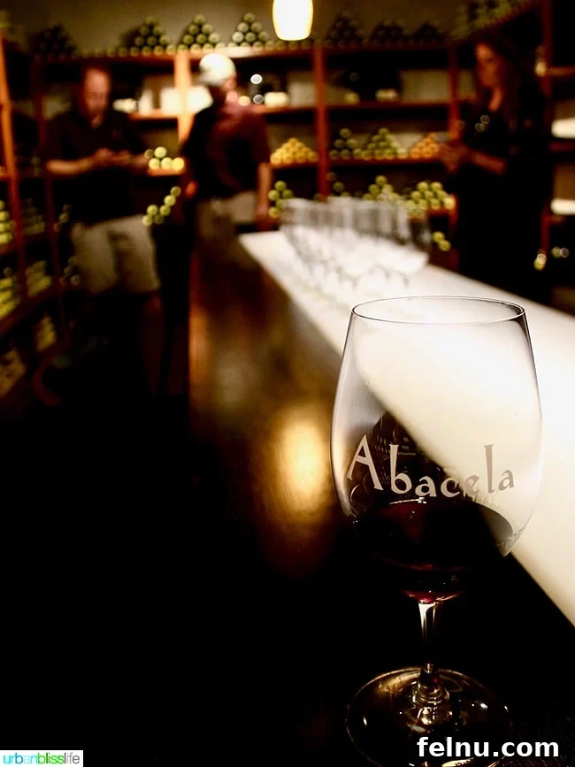 Abacela Winery: Cultivating Oregon Success Through Bold Curiosity 10 Barrel room at Abacela Winery, where premium wines mature gracefully