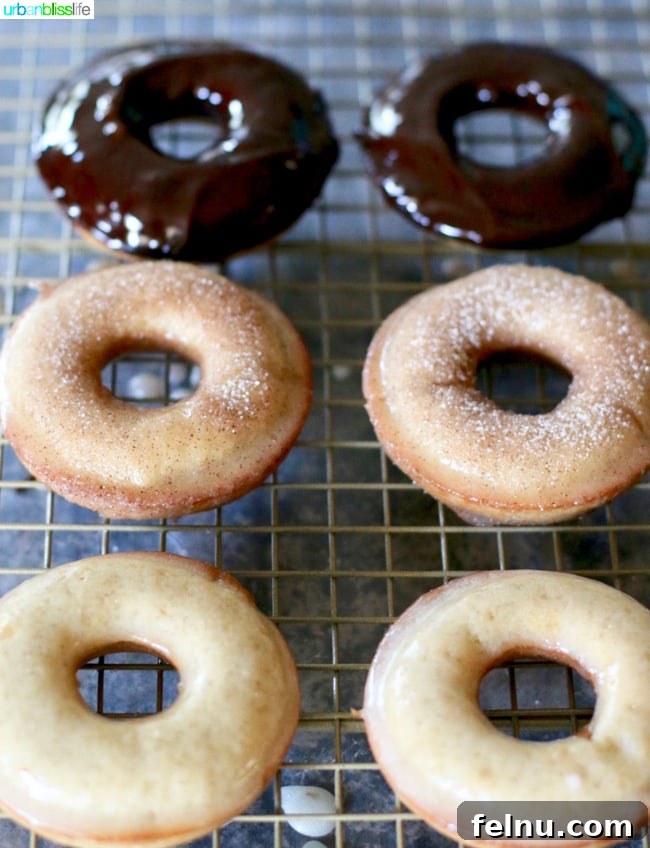 A variety of cinnamon sugar donuts, including classic glazed and chocolate-covered options.