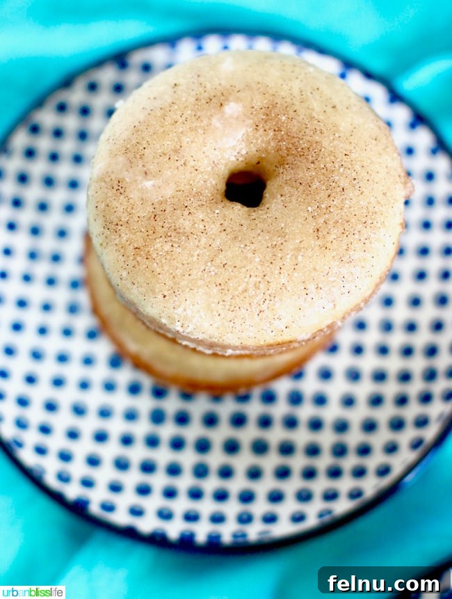 An overhead shot of cinnamon sugar donuts, showcasing their golden-brown color and sugary coating.