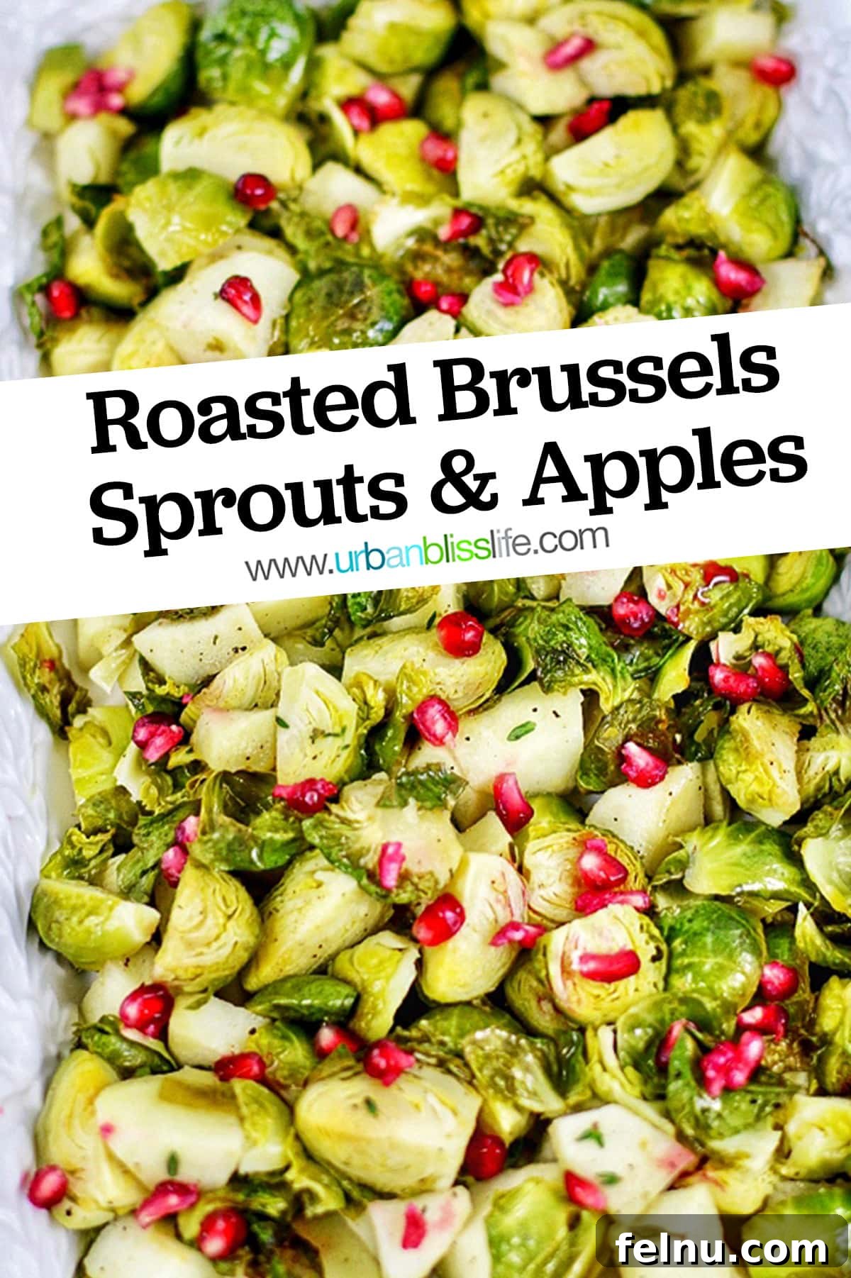 Roasted brussels sprouts with apples, pomegranate and title text
