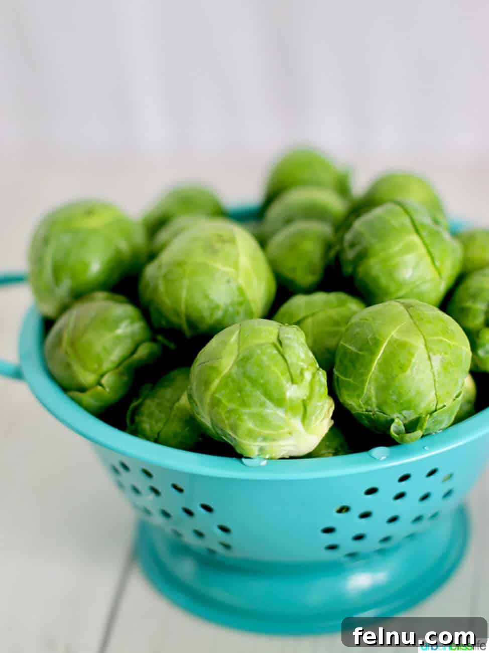 Fresh Brussels sprouts in a colander