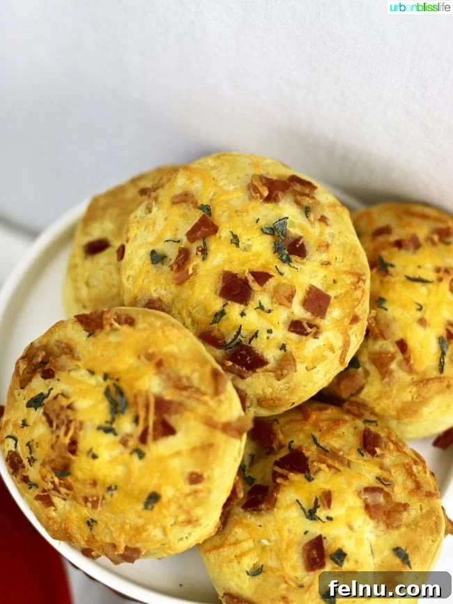 Sizzling Bacon Bars for Brunch Bliss 11 Fluffy Bacon, Cheddar, and Herb Biscuits, perfect for a cozy breakfast or brunch
