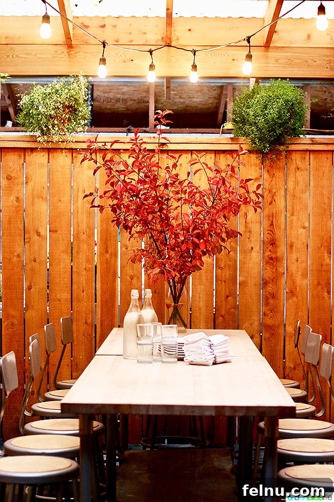 Radar Restaurant: Portland's Lost Cozy Nook 14 Radar Restaurant's outdoor seating area, perfect for groups.