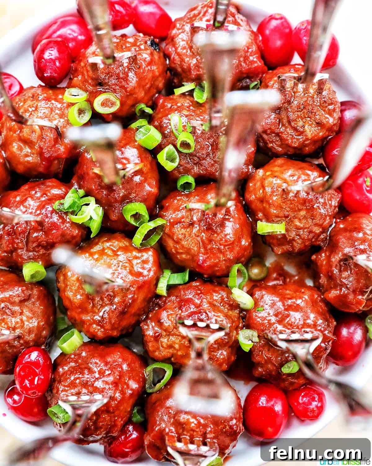 Sweet and Tangy Cranberry Glazed Meatballs 2 Instant Pot Cranberry Meatballs