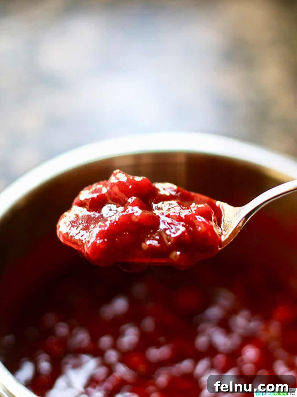 Sweet and Tangy Cranberry Glazed Meatballs 8 cranberry sauce on a spoon, showing its thick consistency