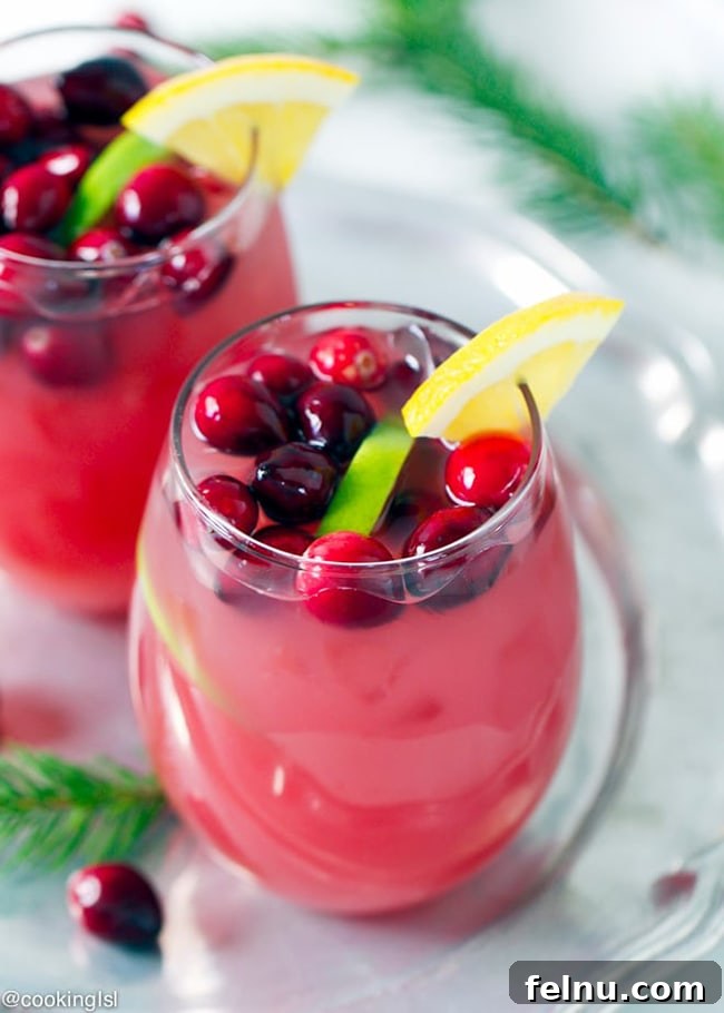 Festive Winter Sips: 20 Cocktail Recipes for Your Holiday Gathering 12 Bright Cranberry Orange Punch for a large winter party.