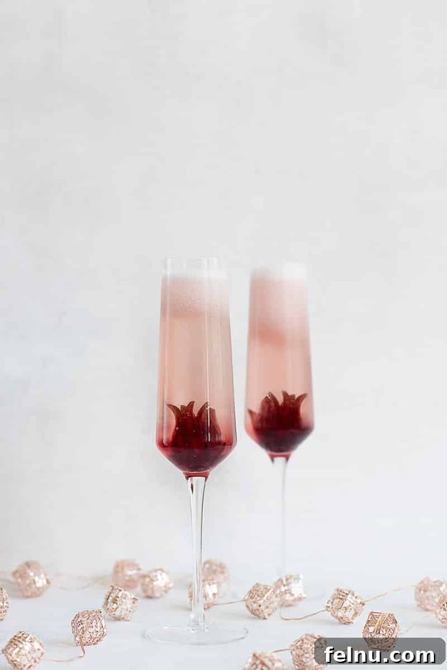 Festive Winter Sips: 20 Cocktail Recipes for Your Holiday Gathering 18 Stunning Ombre Hibiscus Prosecco Cocktail for New Year's Eve.