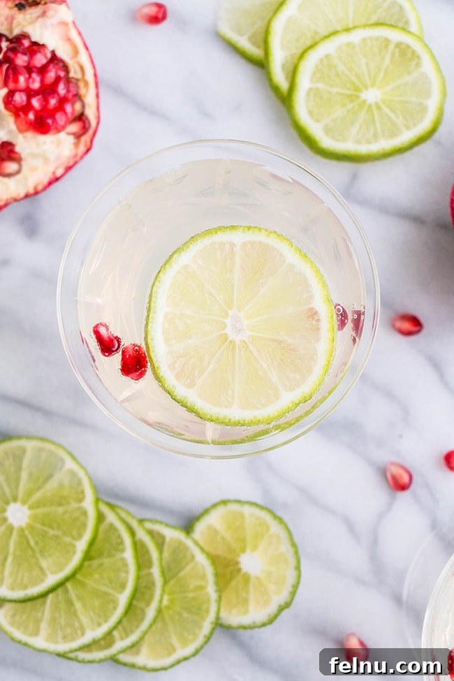 Festive Winter Sips: 20 Cocktail Recipes for Your Holiday Gathering 3 Vibrant Pomegranate Lime Gimlet cocktail with cranberries, ideal for a festive winter party.