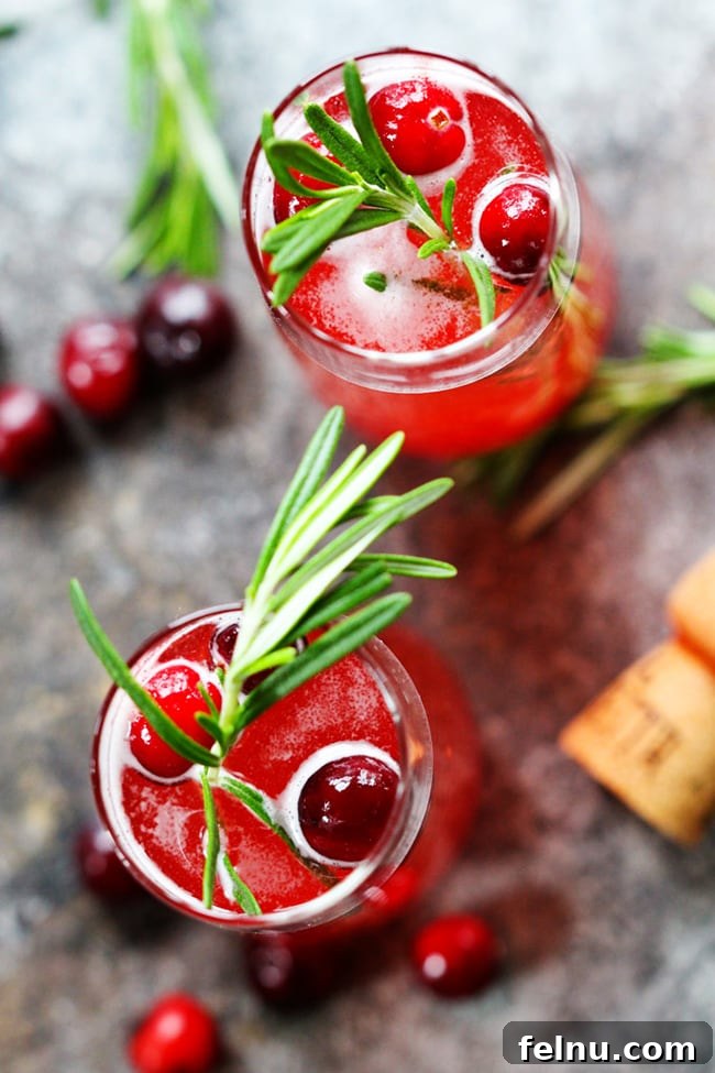 Festive Winter Sips: 20 Cocktail Recipes for Your Holiday Gathering 7 Elegant Cranberry Ginger Bellini with fresh cranberries.