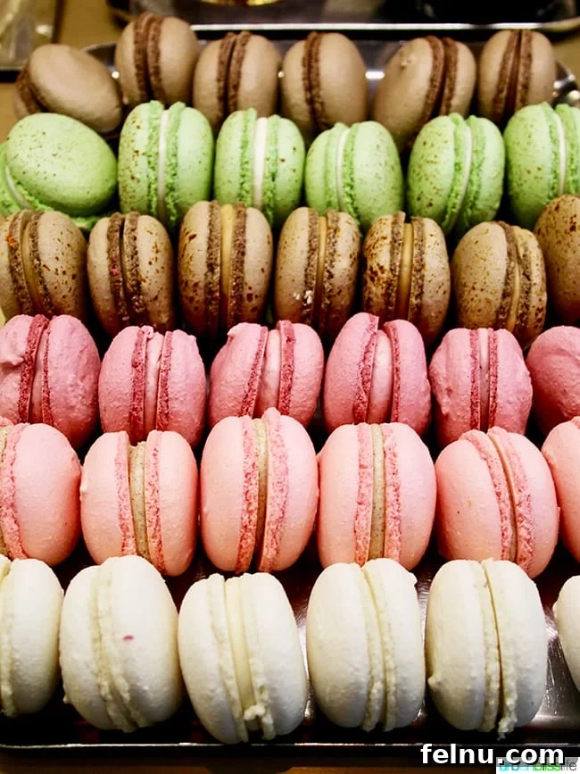 Swiss Flavors in the Heartland: A Kansas City Culinary Gem 4 Delightful Macarons at André's Confiserie Suisse