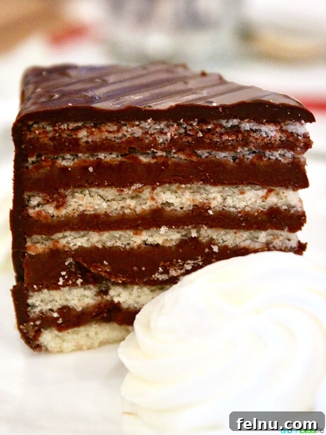 Swiss Flavors in the Heartland: A Kansas City Culinary Gem 5 The Irresistible Chocolate Ganache Cake with Hazelnut Buttercream