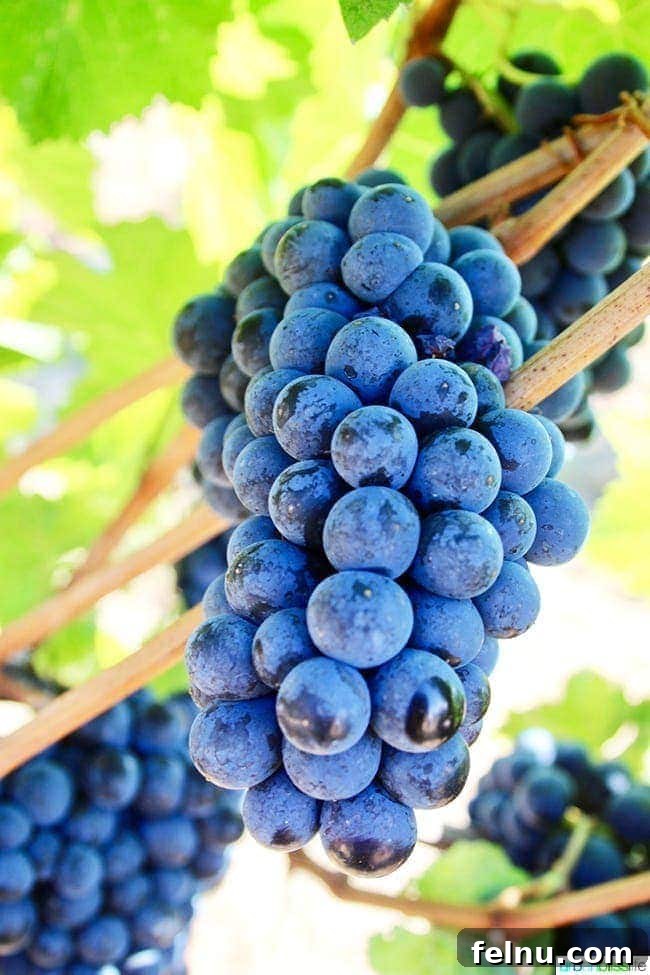 Wooldridge Creek: A Taste of Oregon's Applegate Valley 3 Close-up of ripe grapes on the vine at Wooldridge Creek Winery, Grants Pass, Oregon.