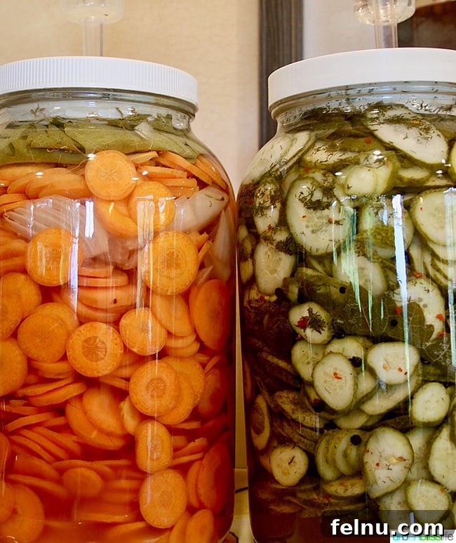 Wooldridge Creek: A Taste of Oregon's Applegate Valley 10 A variety of colorful pickled vegetables at Wooldridge Creek Winery in Grants Pass, Oregon, adding a flavorful touch to the charcuterie boards.