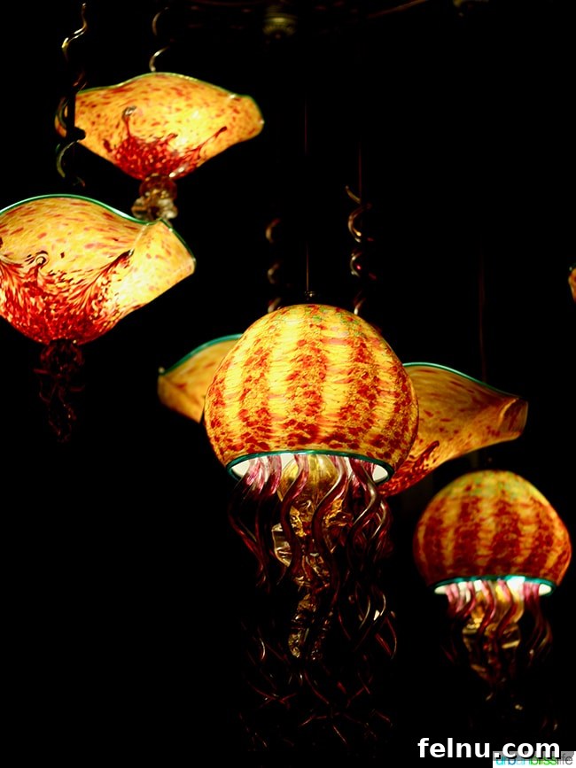 Cabezon Portland: A Northeast Portland Seafood Gem 4 Jellyfish Lights at Cabezon Restaurant - A Unique and Vibrant Touch