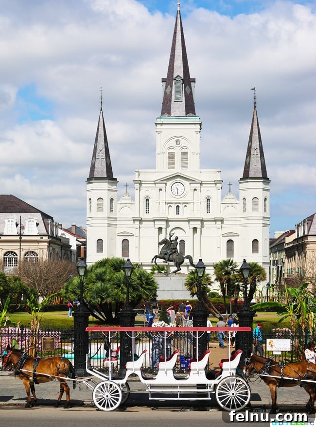 A Taste of New Orleans: Brennan's Culinary Legacy 19 A scenic view of New Orleans, capturing the city's unique charm