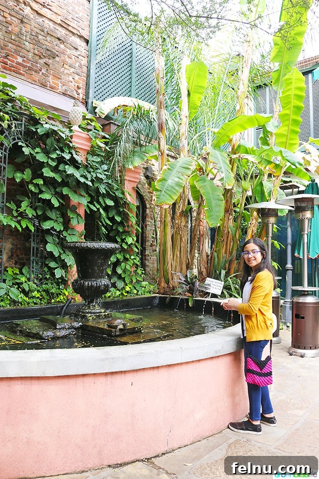 A Taste of New Orleans: Brennan's Culinary Legacy 7 Guests admiring the turtles in the courtyard fountain at Brennan's Restaurant