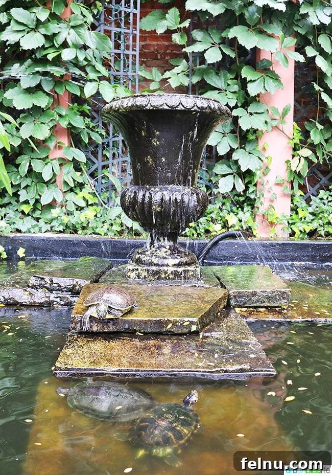 A Taste of New Orleans: Brennan's Culinary Legacy 9 The turtles swimming in the fountain at Brennan's Restaurant, a beloved attraction for guests
