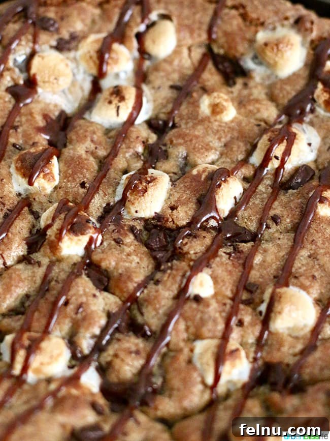 Chocolate Hazelnut Drizzled Smores Cookie Pie 5 S'mores Pie close up with rich chocolate hazelnut spread drizzle