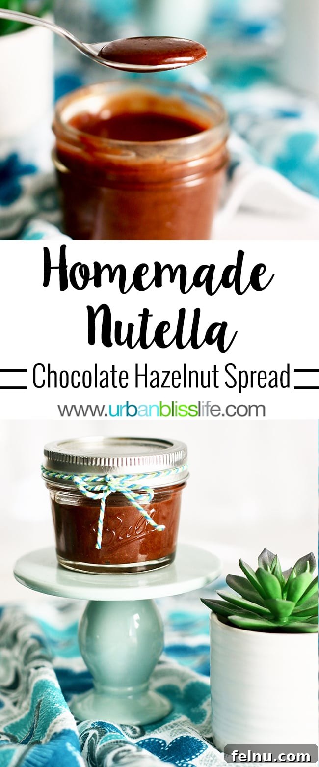 Homemade Nutella: A Decadent Chocolate Hazelnut Dream 9 Pin Image for Homemade Chocolate Hazelnut Spread Recipe