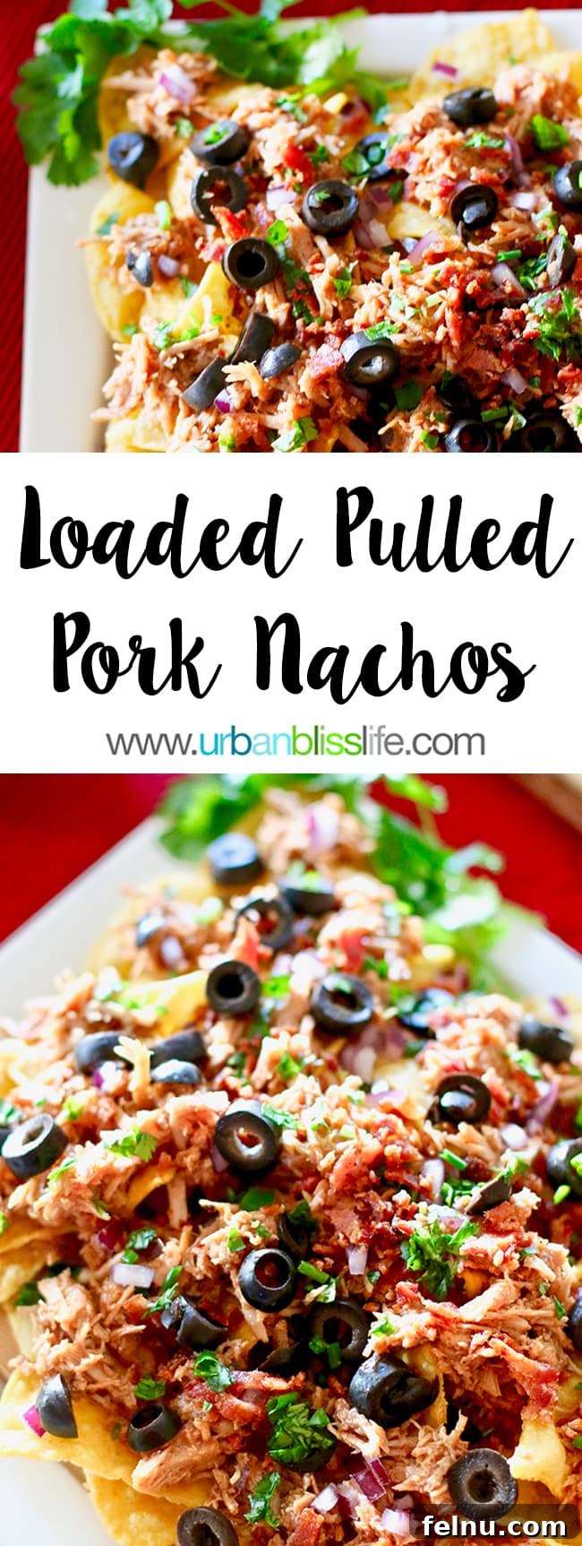 Slow Cooker Pulled Pork Fiesta Nachos 4 Slow Cooker Pulled Pork Nachos Recipe